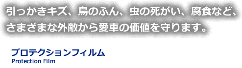 引っかきキズ、鳥のふん、虫の死がい、腐食など、さまざまな外敵から愛車の価値を守ります。プロテクションフィルム Protection Film